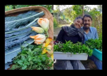 סדנת גן אודיסיאה: מיומנויות ניווט וידע