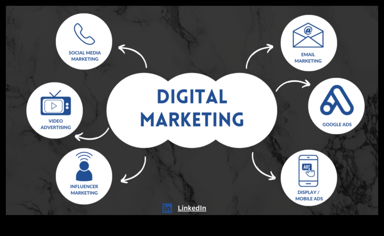 עדינות אנליטיקה: ניווט בהצלחה בעולם הקידום הדיגיטלי