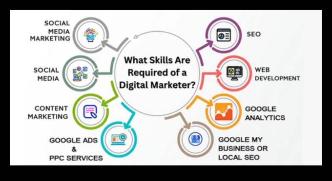 עדינות אנליטיקה: ניווט בהצלחה בעולם הקידום הדיגיטלי