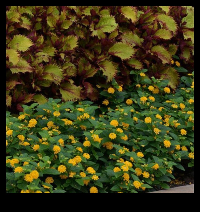 עציץ זהב: טיפים לגינון מיכל להצלחה פורחת