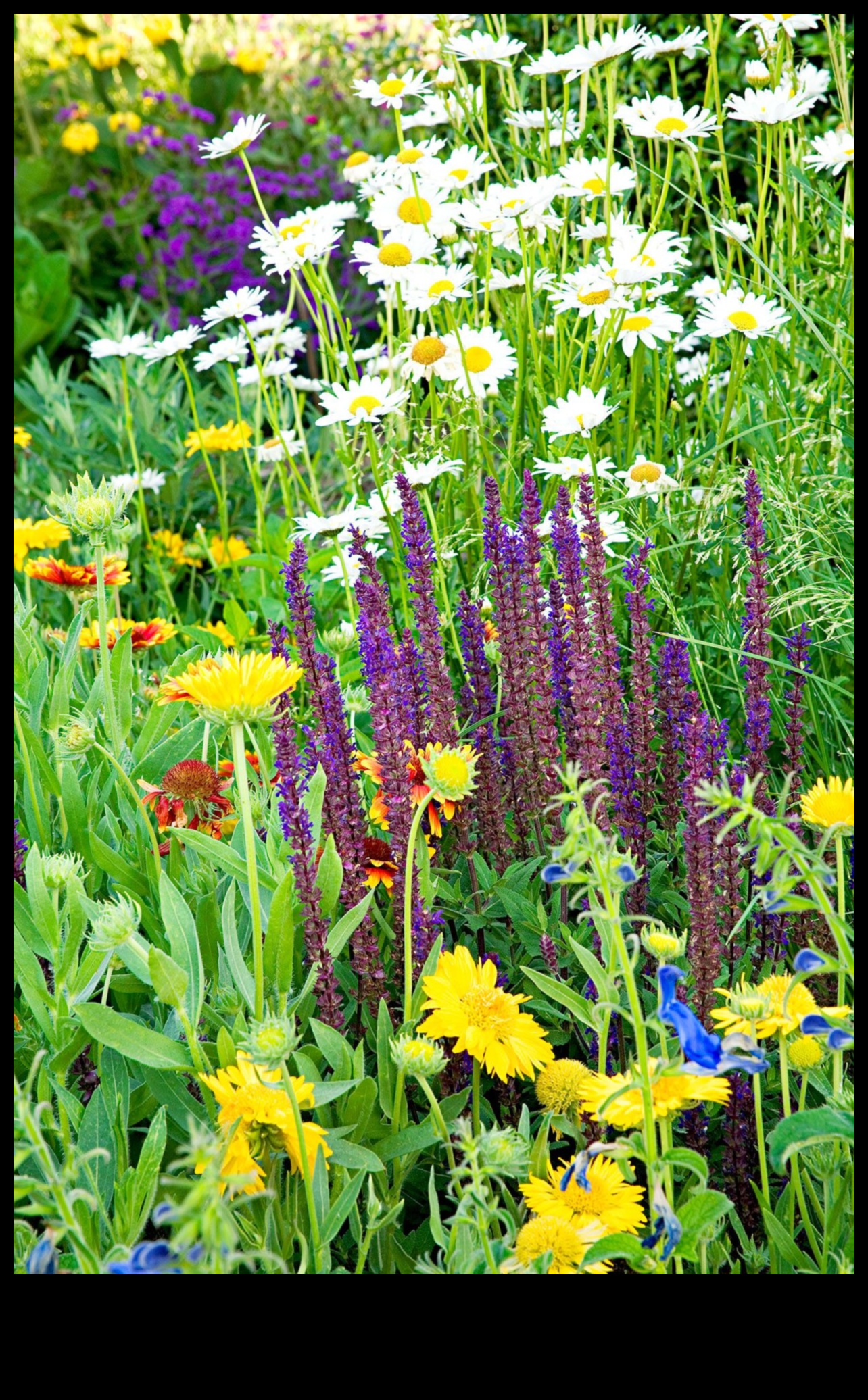 מלווי פרחים: טיפוח גנים משגשגים עם זיווג