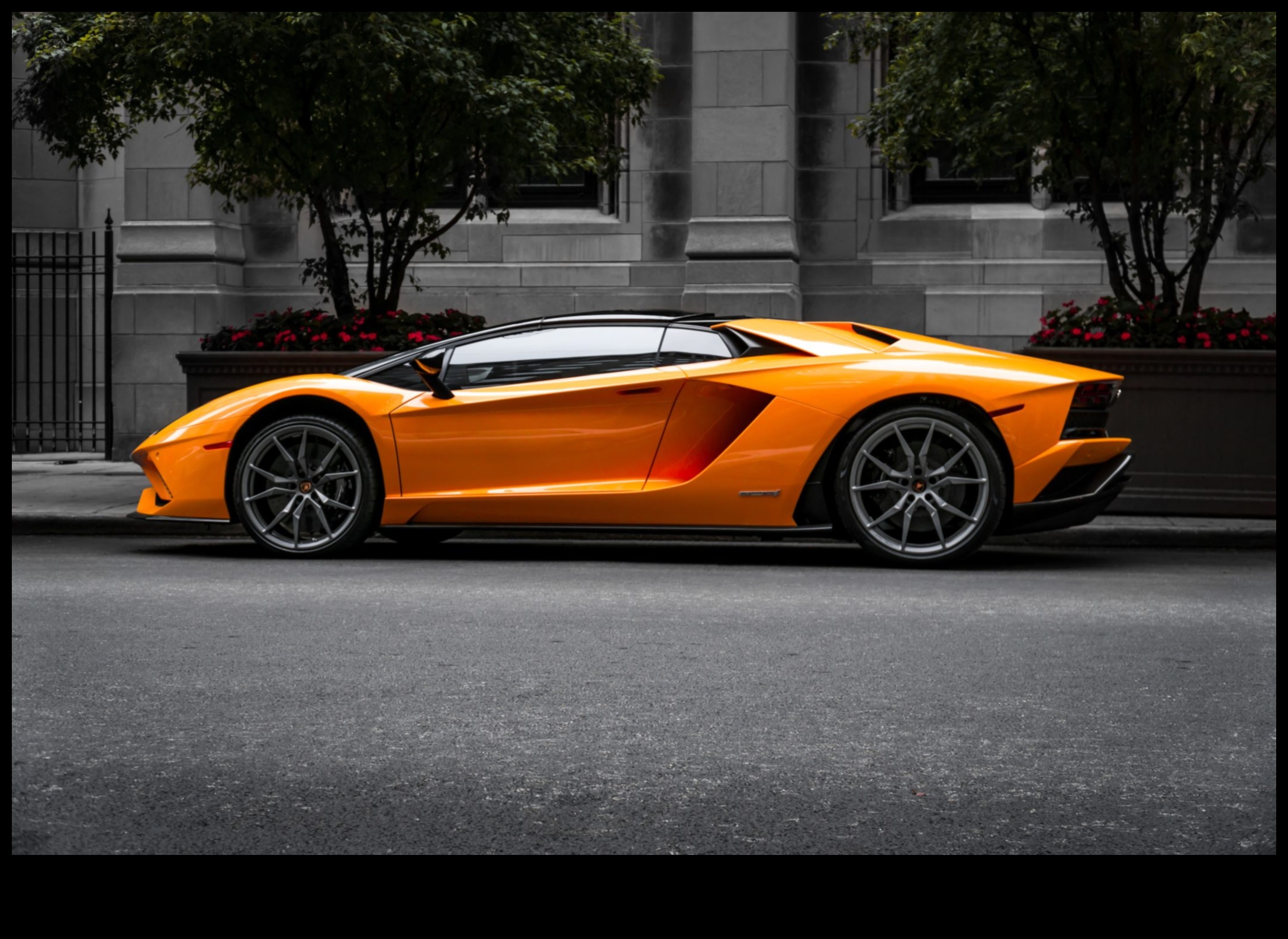 אפס לריגוש: מכוניות ספורט ושמחה דופקת הלב של ההאצה