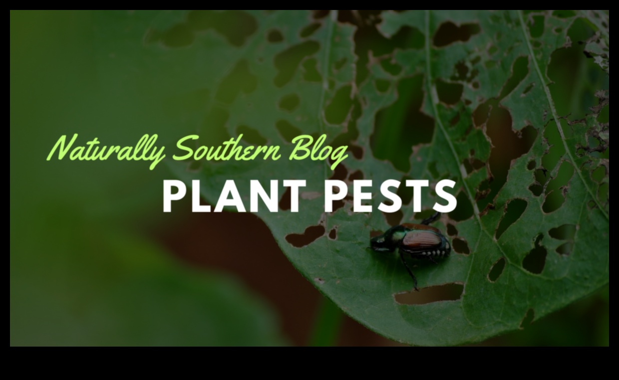 הירוקים במצור? שלטו באמנות הדברת מזיקים