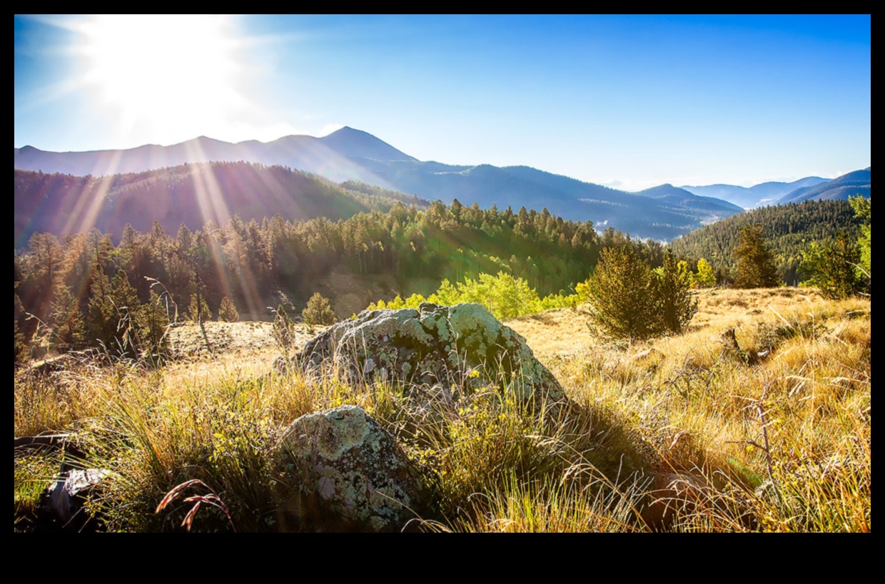 Eternal Vistas: נופים נצחיים בצילום
