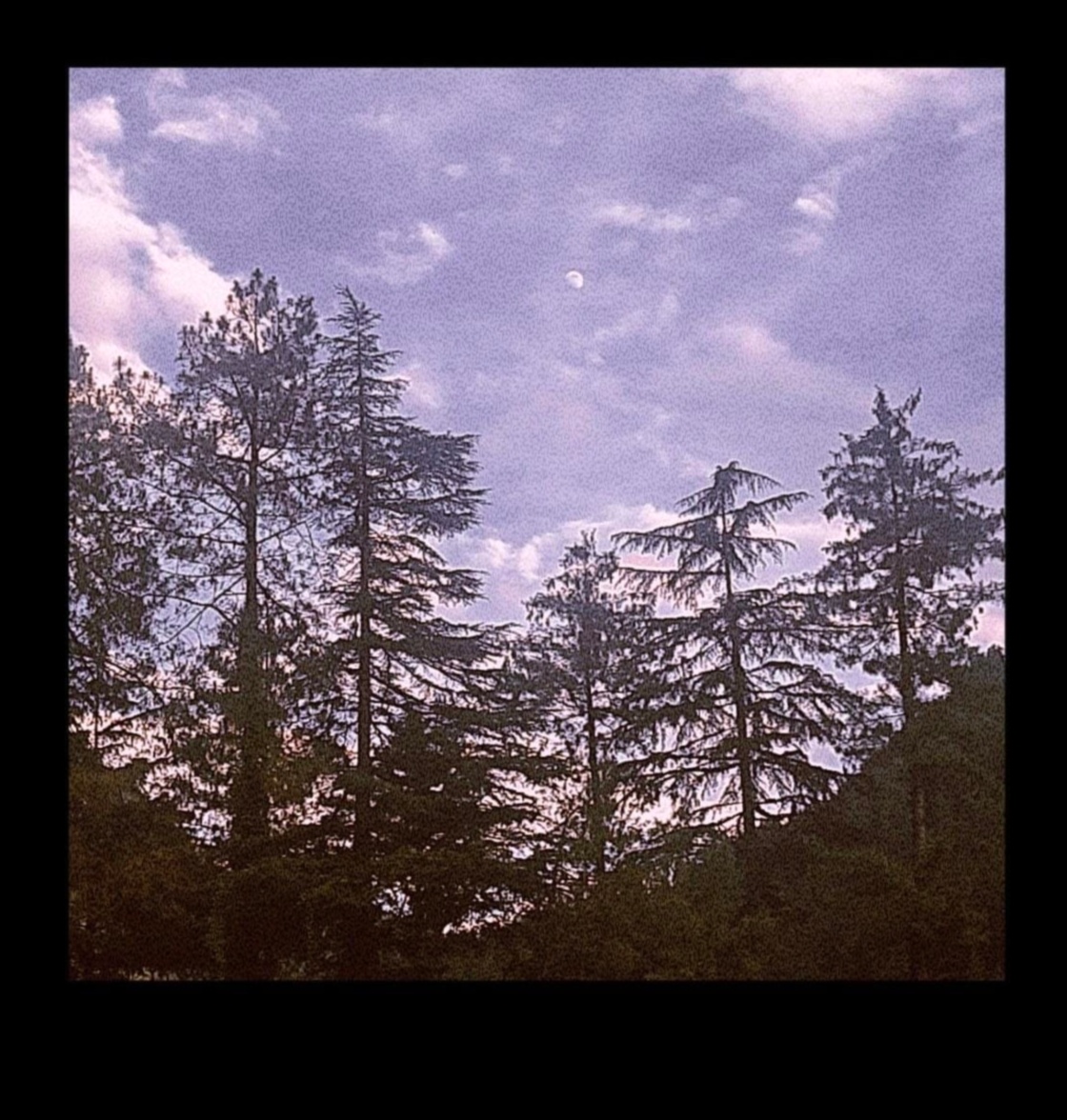 רפסודיה נודדת: סימפוניית חקירה של מטייל