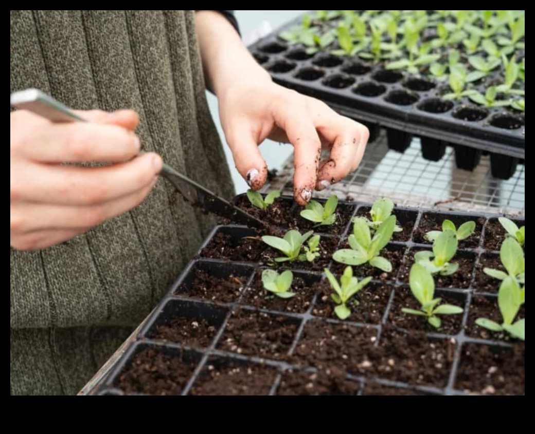נבטים בני קיימא: שיטות ידידותיות לסביבה לתחזוקת גינה