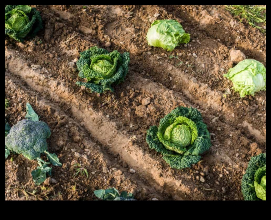 נבטים בני קיימא: שיטות ידידותיות לסביבה לתחזוקת גינה