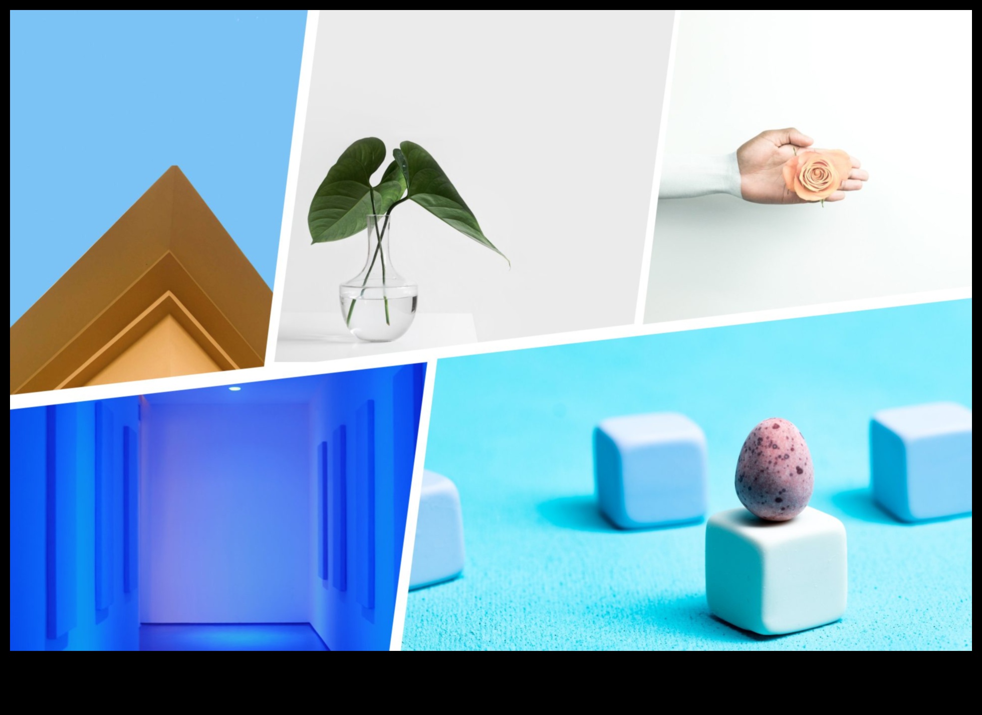 פלאים מינימליסטיים: פשטות ודיוק באמנות אמריקאית