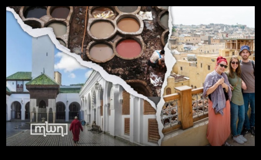 מקלטי מורשת: שמירה על עושרם של אתרי תרבות