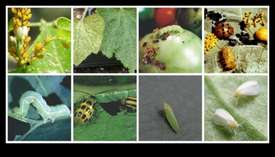 הגנת עדן: אסטרטגיות לגן נקי ממזיקים