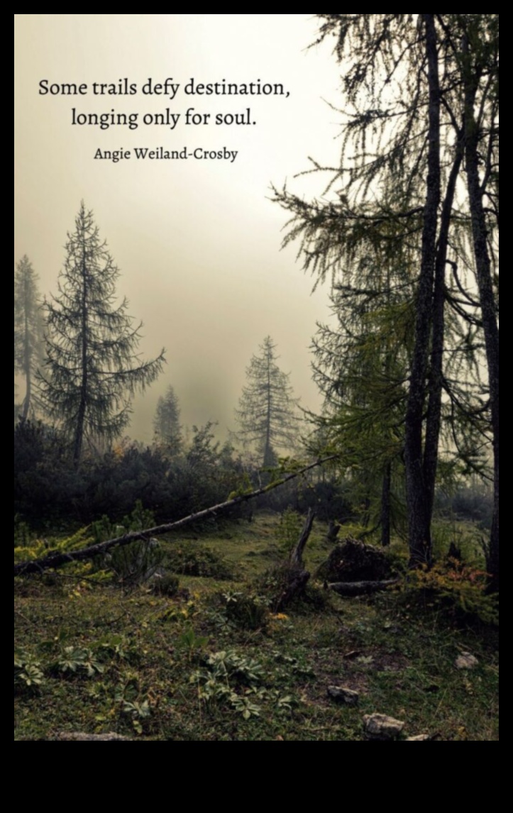 נוף מלא נשמה מסע בנוף הרוח האנושית 4 נופי נשמה: נופים שמדברים ישירות לרגשות