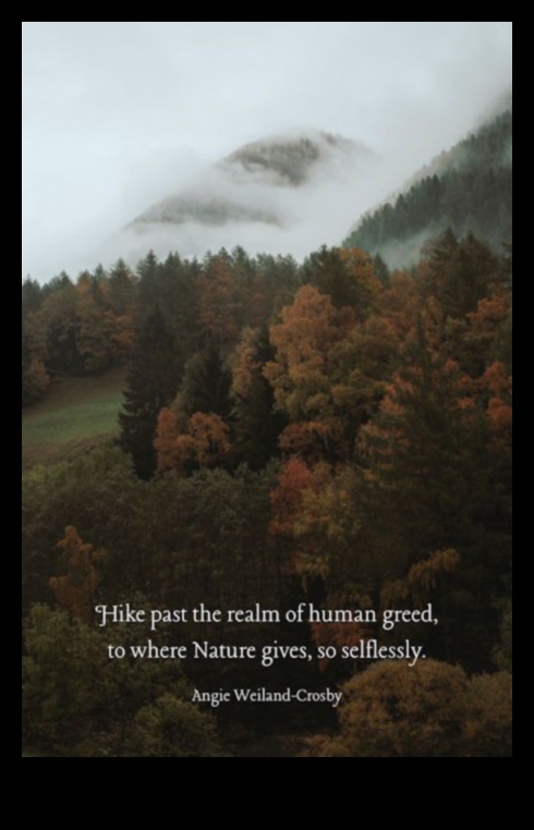 נוף מלא נשמה מסע בנוף הרוח האנושית 5 נופי נשמה: נופים שמדברים ישירות לרגשות