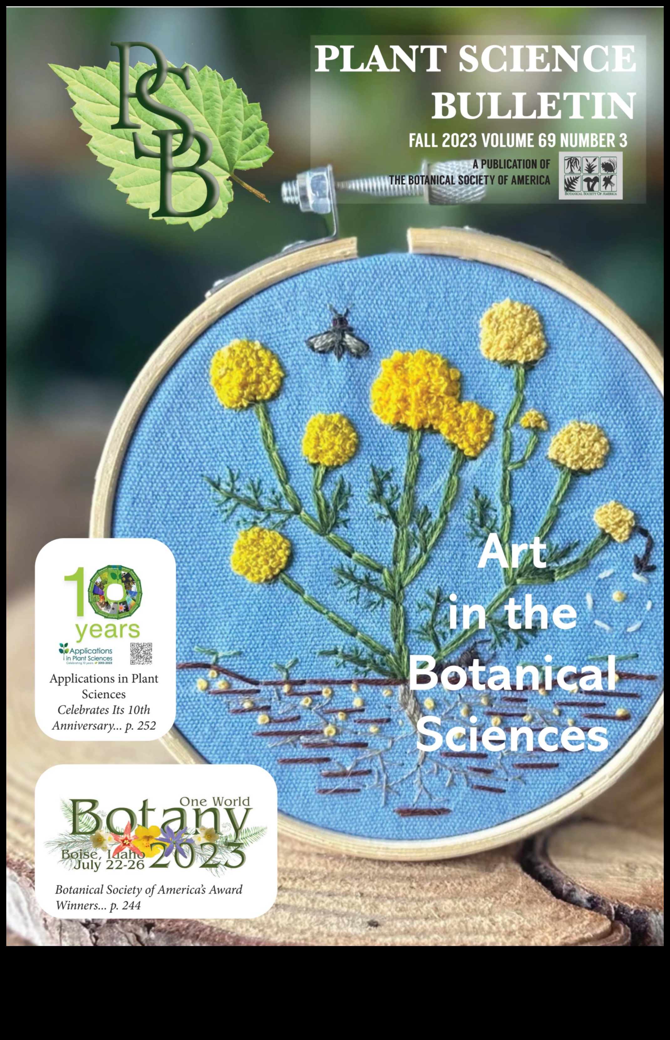 נחשף הברק בוטני: תובנות בנושא חינוך לגן