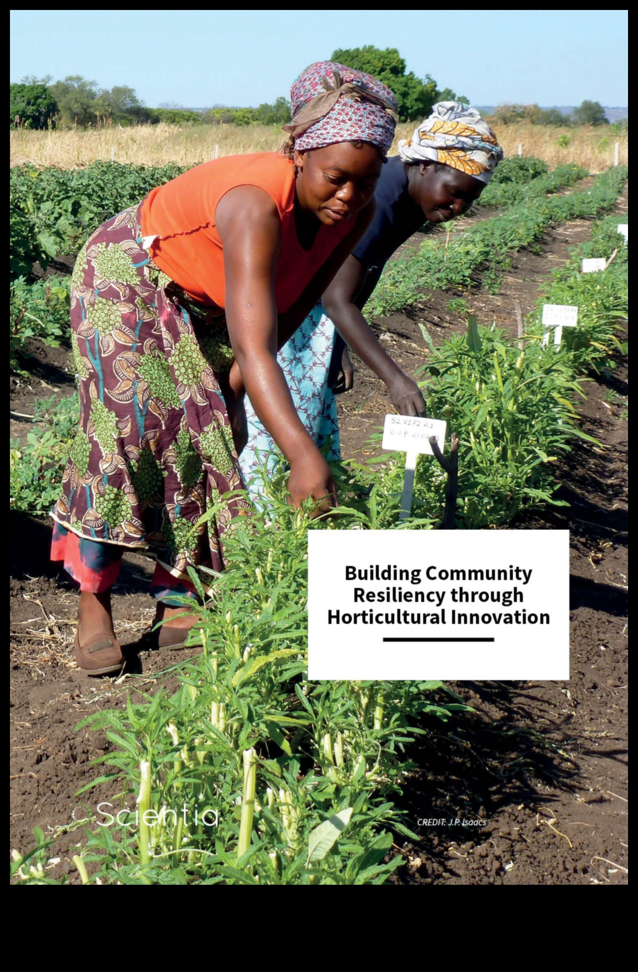 שורשי החוסן: חוזקה של גננות