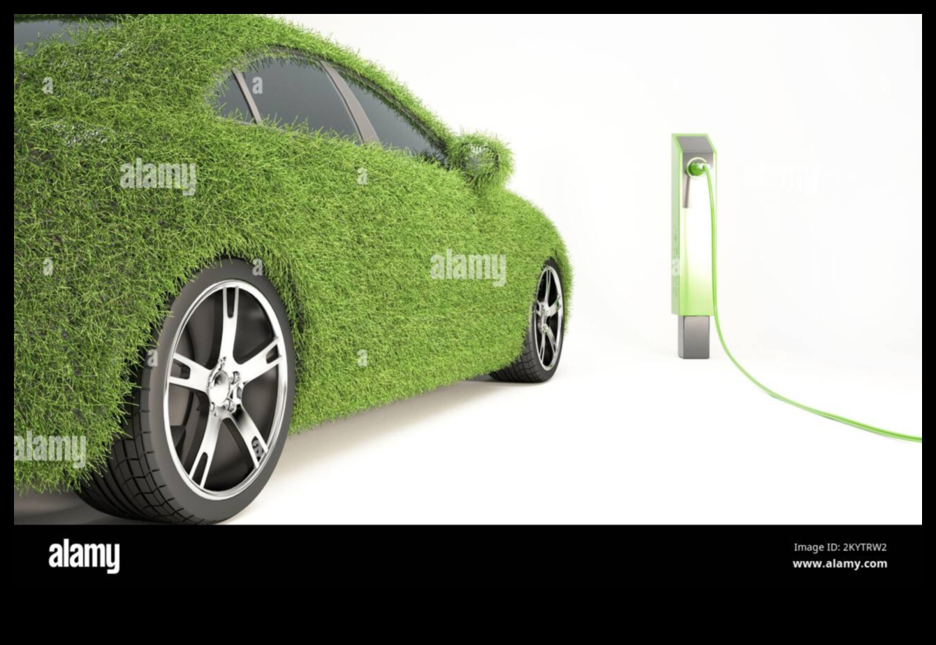 נהיגה ידידותית לסביבה: הרפתקאות במכוניות חשמליות לשימור הטבע