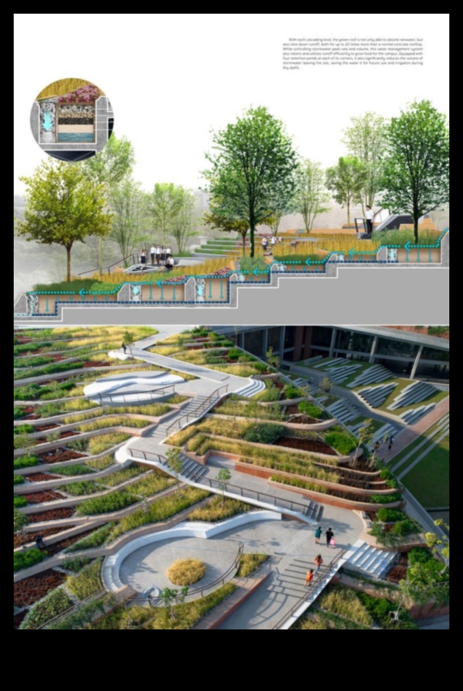 עיצוב שלווה: ההרמוניה של אדריכלות נוף