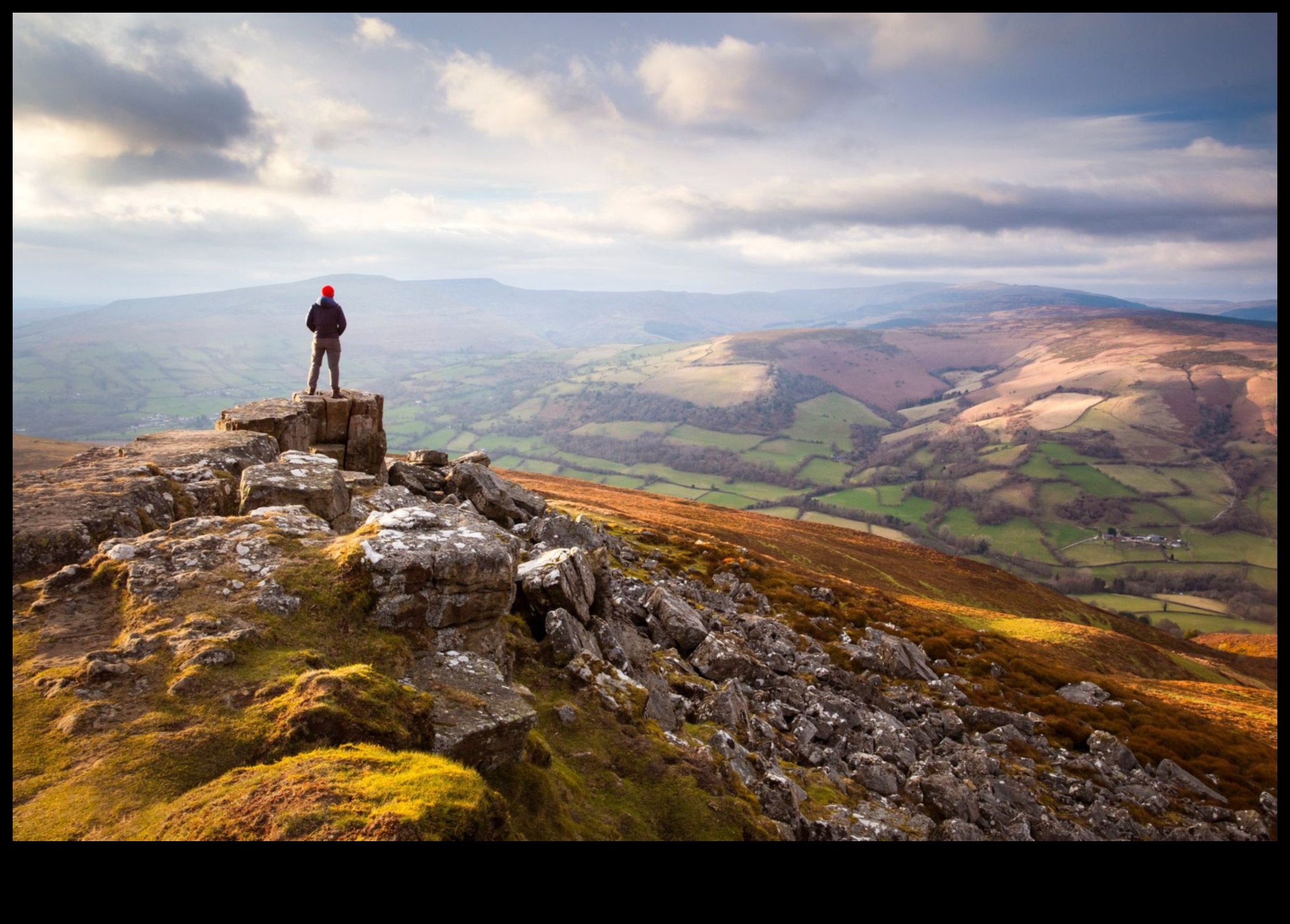 הרפתקאות טוויטר: ניווט במדבר של תוכן קצר