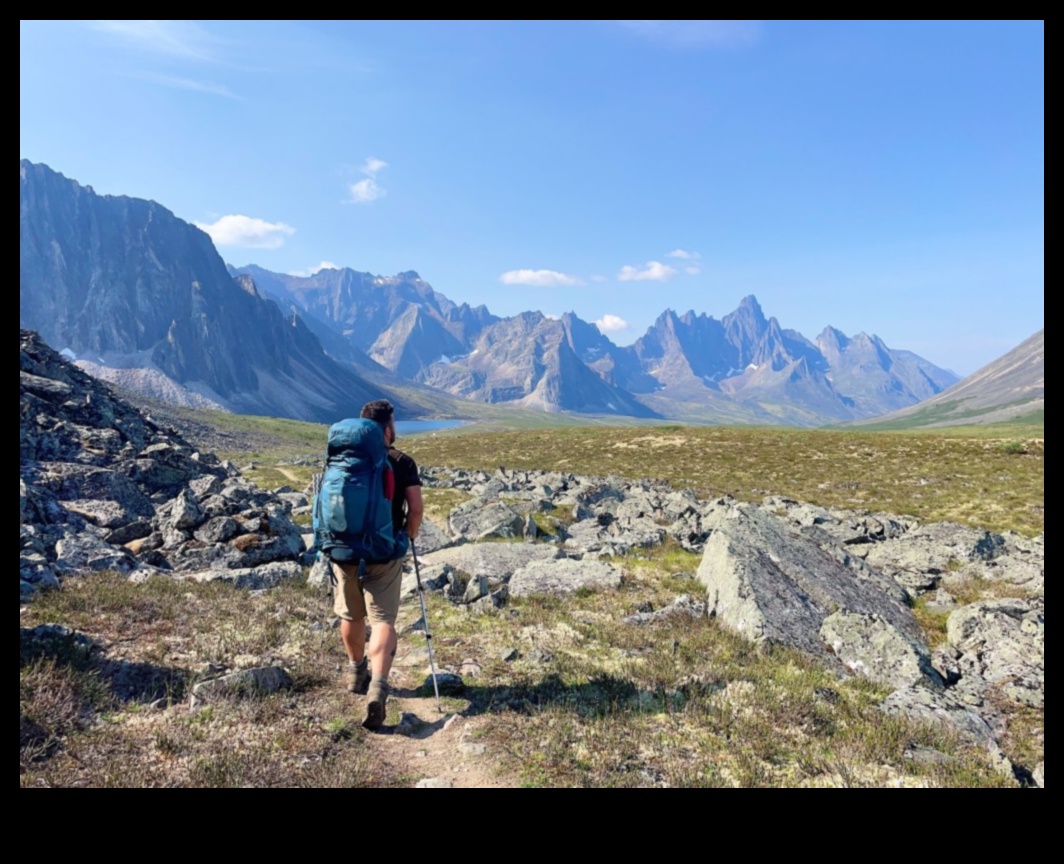 הרפתקאות טוויטר: ניווט במדבר של תוכן קצר