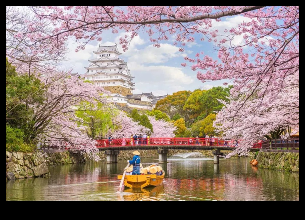 פריחה מעבר לגבולות: חקר פלאי גננות