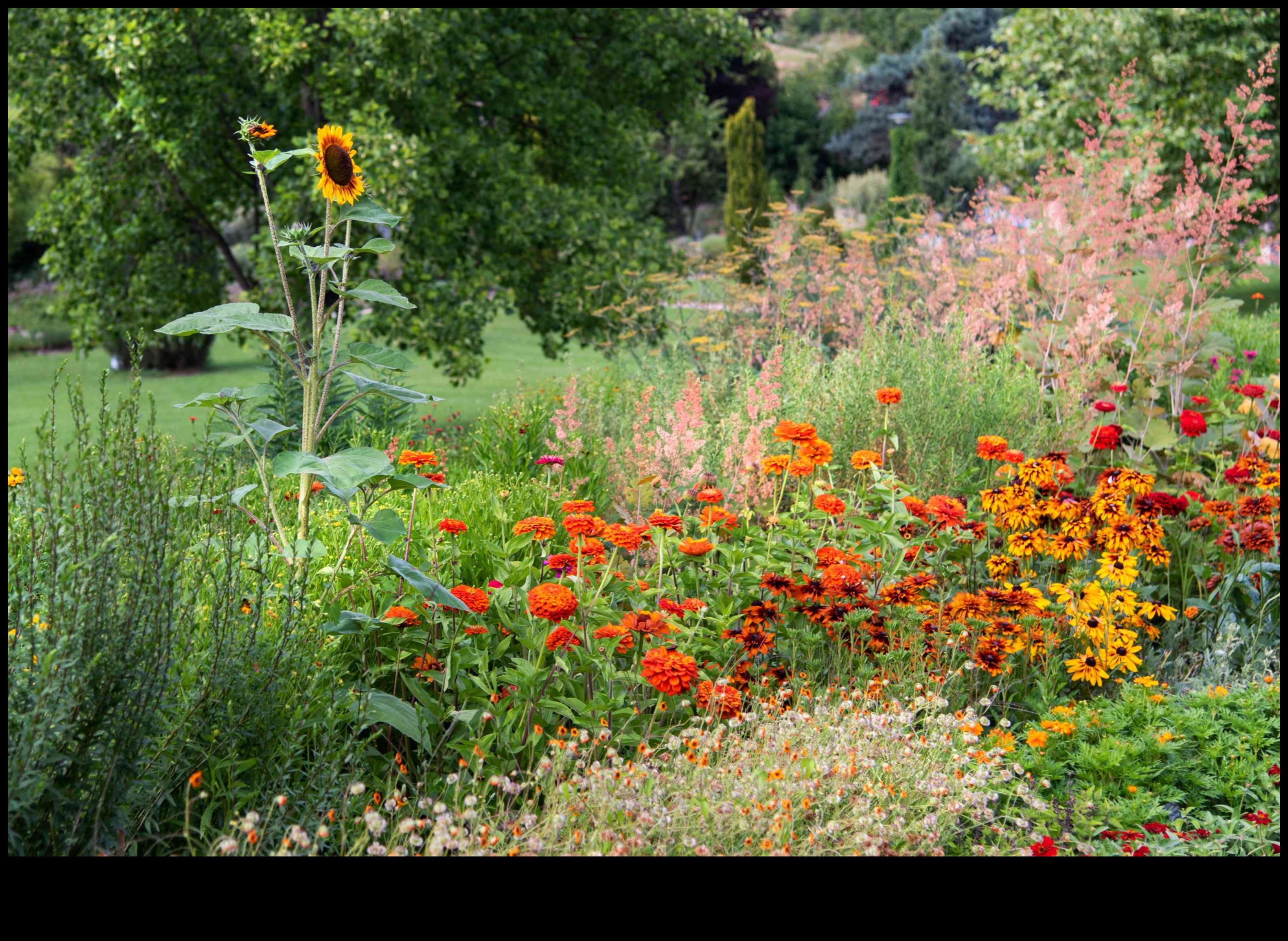 פריחה בסטייל: גלה את נפלאות עיצוב הגן המגמתיות