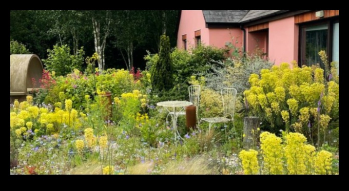 פריחה בסטייל: גלה את נפלאות עיצוב הגן המגמתיות