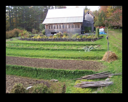 מדוע טרסות חקלאיות חשובות לניהול נופים הרריים?
