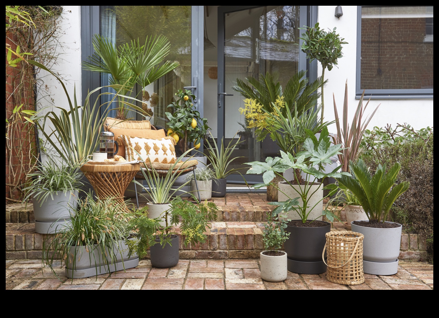 פריחה תקציבית: פרויקטי גן עשה זאת בעצמך