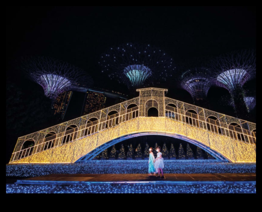 פנסים מובילים: מדריכים את הדרך שלך לטיולים כוכבים