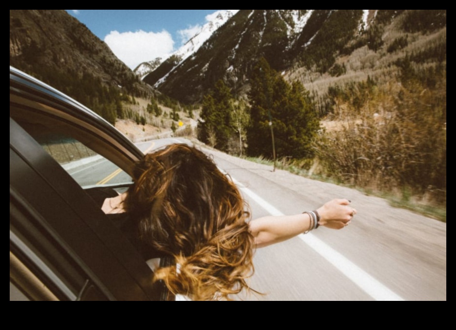 גילוי דינמיקה: מדריך לנוסע לתנועה