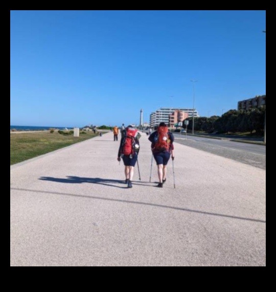 Pavement Pioneers: Crafting Your Tour Walking Adventure