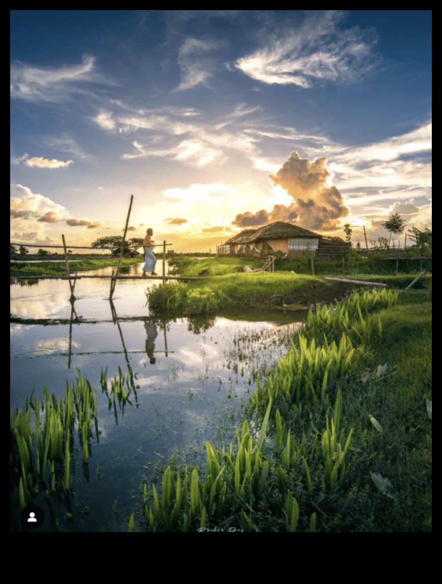 אופוריית נוף: חגיגה חזותית לאוהבי טבע