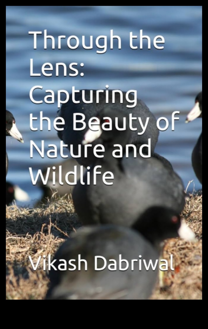 אופוריית נוף: חגיגה חזותית לאוהבי טבע