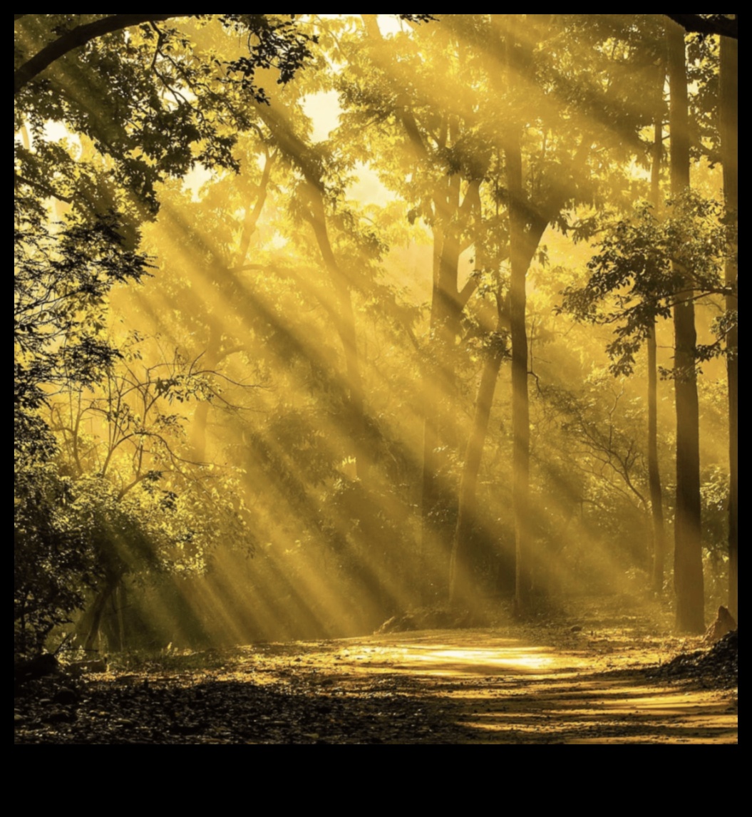 אופוריית נוף: חגיגה חזותית לאוהבי טבע