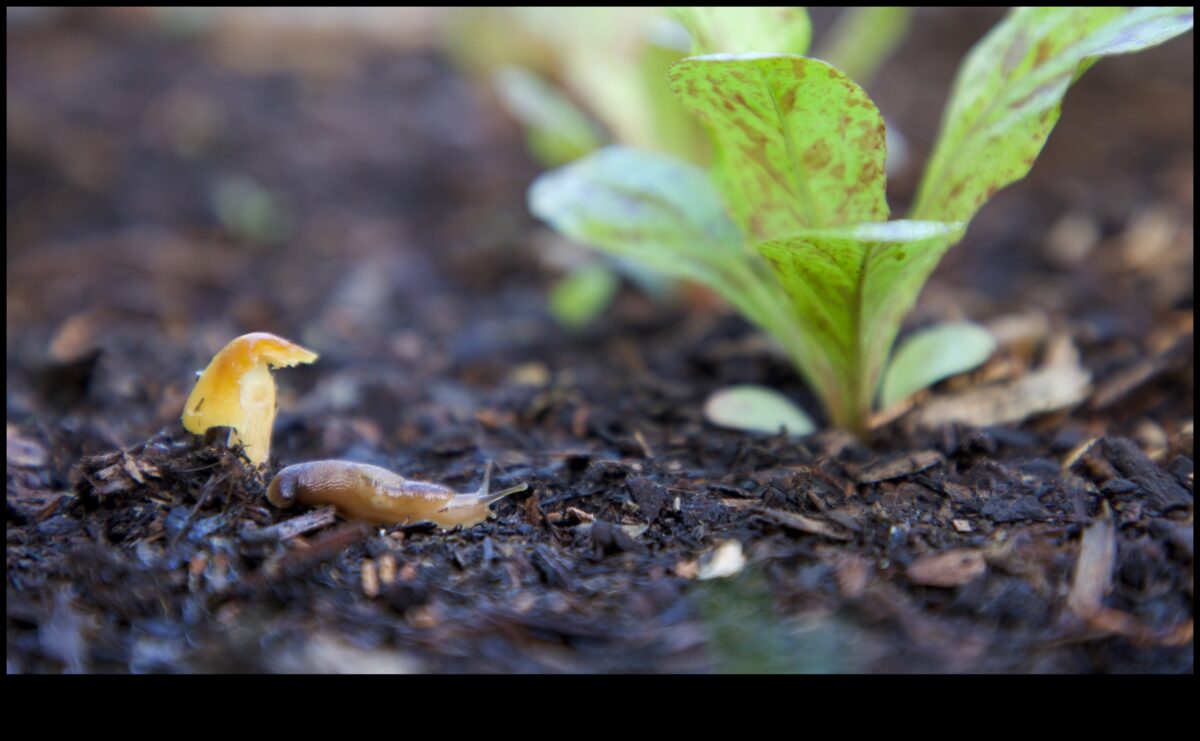 הגנת עדן: אסטרטגיות לגן נקי ממזיקים