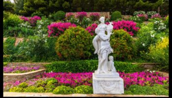 אוצרות גן: קשטו את החלל שלכם בכישרון אמנותי