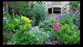 אלגנטיות כפרית: ניווט בפיתוי של גני קוטג'