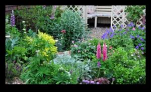 אלגנטיות כפרית: ניווט בפיתוי של גני קוטג'