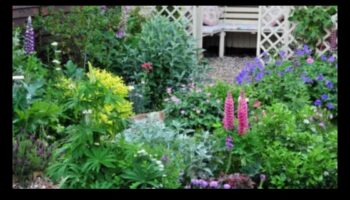 אלגנטיות כפרית: ניווט בפיתוי של גני קוטג'