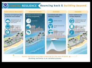 כיצד מסתגלים נופי החוף לאתגרי שינויי האקלים?