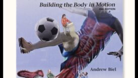 גילוי דינמיקה: מדריך לנוסע לתנועה