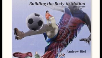 גילוי דינמיקה: מדריך לנוסע לתנועה