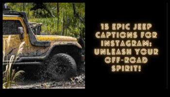 דרכי עפר ומעבר לכך: חופש חקר השטח שוחרר