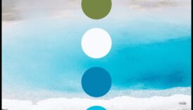 פלטת הטבע: אוסף עשיר של צילומי נוף מלאי חיים בכל פריים