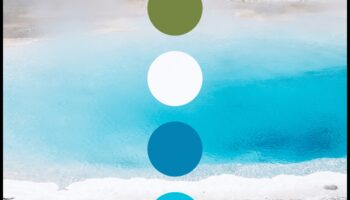 פלטת הטבע: אוסף עשיר של צילומי נוף מלאי חיים בכל פריים