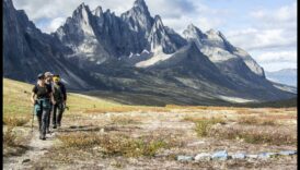 הרפתקאות טוויטר: ניווט במדבר של תוכן קצר