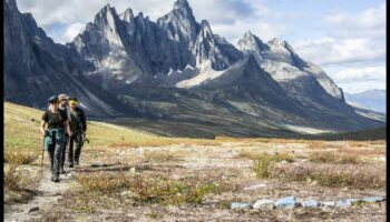 הרפתקאות טוויטר: ניווט במדבר של תוכן קצר