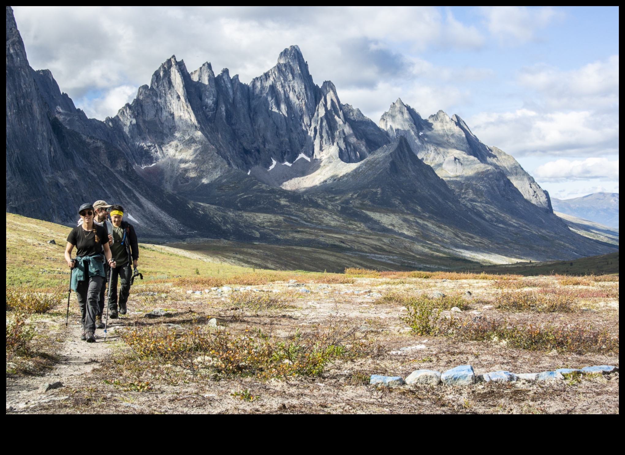 הרפתקאות טוויטר: ניווט במדבר של תוכן קצר