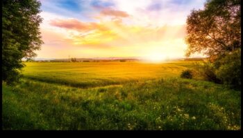 שלווה של זריחה: אור בוקר בהגדרות טבעיות