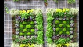 חדשנים מתחילים: לפרוח בעולם סדנאות הגן