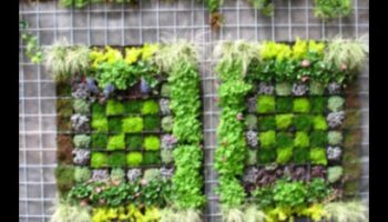 חדשנים מתחילים: לפרוח בעולם סדנאות הגן